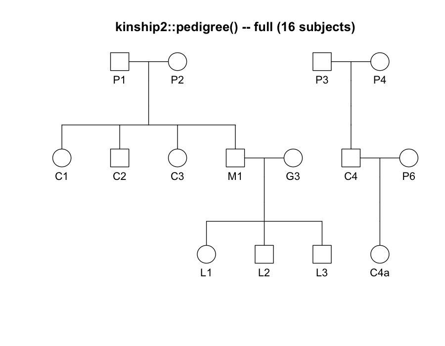 kinship2 pedigree diagram of the full 16-subject fixture, standard square/circle symbols connected by a strict-hierarchy layout.