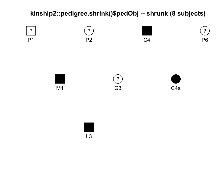 kinship2 pedigree diagram of the shrunk 8-subject pedigree, with unavailable individuals shown as unfilled nodes marked with a question mark.
