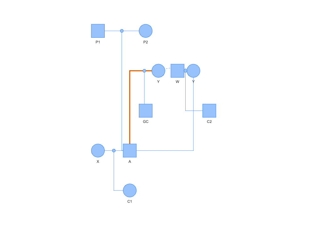 nprcgenekeepr pedigree diagram, rectilinear edge style, showing the consanguinity marker correctly carried onto A's right-angle dogleg reroute as well as Y's direct side.