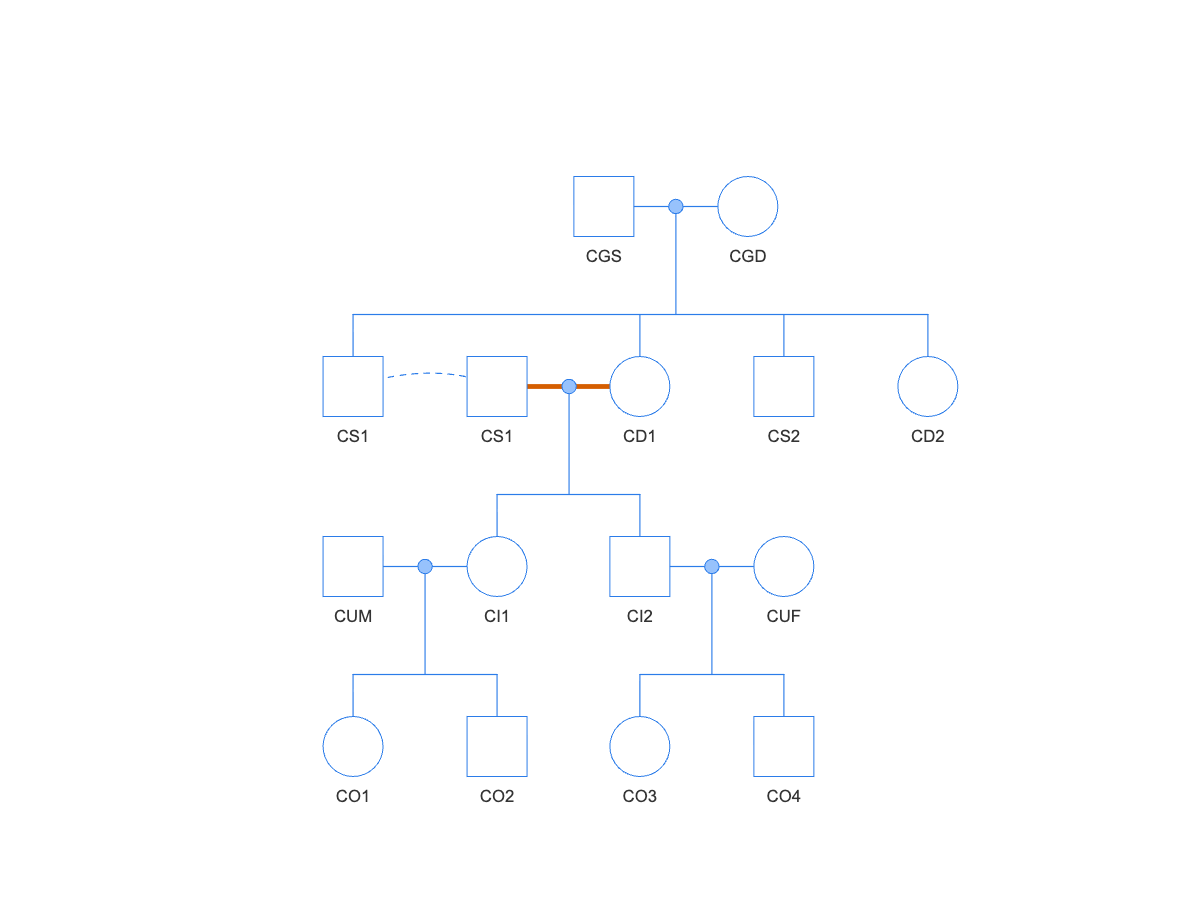 Pedigree diagram of a full-sibling mating: founders CGS and CGD at top; their four children in the second row, where CS1 appears twice joined by a curved dashed line; a thick vermillion mate-line joins CS1's second occurrence to his full sister CD1; their children CI1 and CI2 below each mate an unrelated animal in the bottom rows.