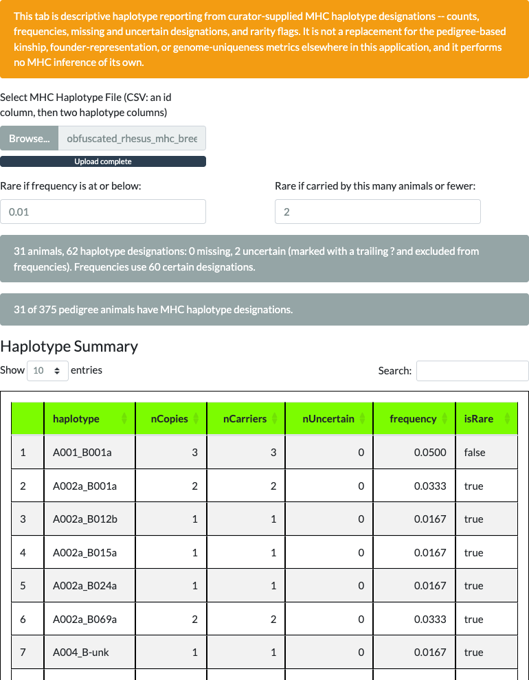Marker Genetics MHC Haplotype Reporting tab showing an orange descriptive-only banner, a file upload control, rarity threshold inputs set to 0.01 and 2, a gray line reading 31 animals, 62 haplotype designations, 0 missing, 2 uncertain, frequencies use 60 certain designations, a gray line reading 31 of 375 pedigree animals have MHC haplotype designations, and a Haplotype Summary table listing each haplotype with its copy count, carrier count, uncertain count, frequency, and rare flag.