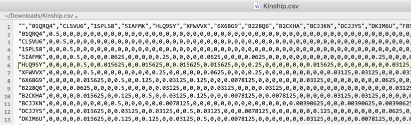 Spreadsheet view of an exported kinship matrix CSV file.